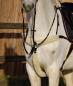 Preview: 5 Point Breastplate „Milano“ with Faux Lambskin Covers